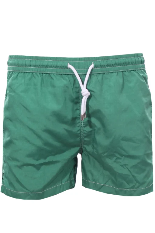 Boxer mare
