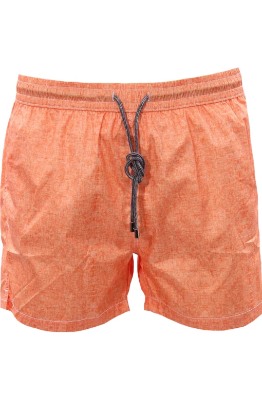 Boxer mare