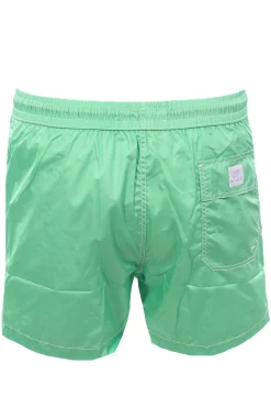 Boxer mare
