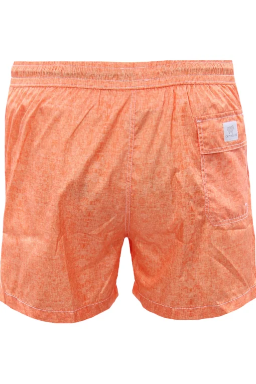 Boxer mare