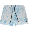 boxer mare multicolor