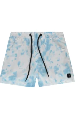 boxer mare multicolor