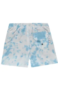 boxer mare multicolor