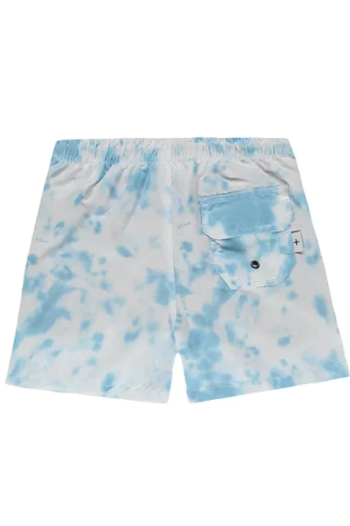 boxer mare multicolor