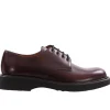 Haverhill rois calf