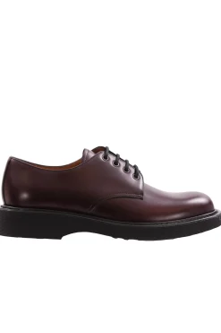Haverhill rois calf