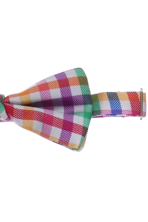 Papillon legato a quadretti multicolor