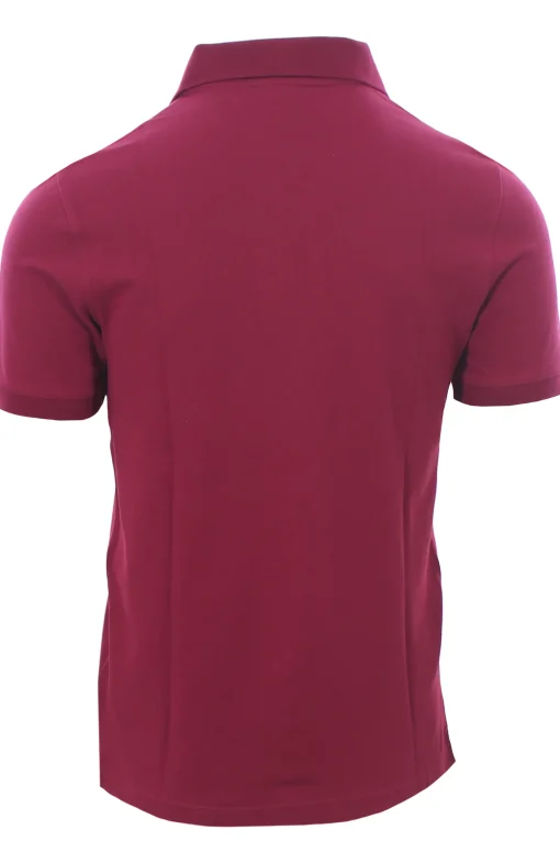 polo amedee piquet