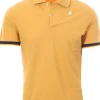 polo vincente
