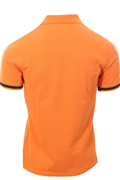 polo vincente
