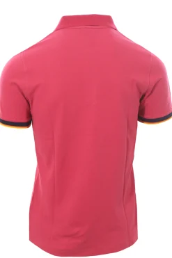 polo vincente