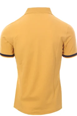 polo vincente
