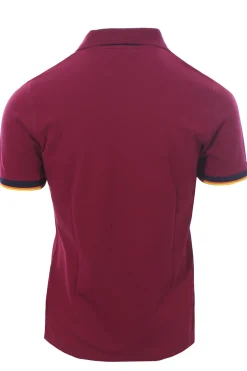 polo vincente