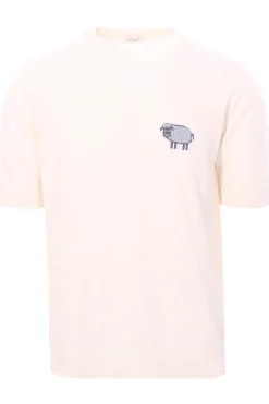 t-shirt pecorella